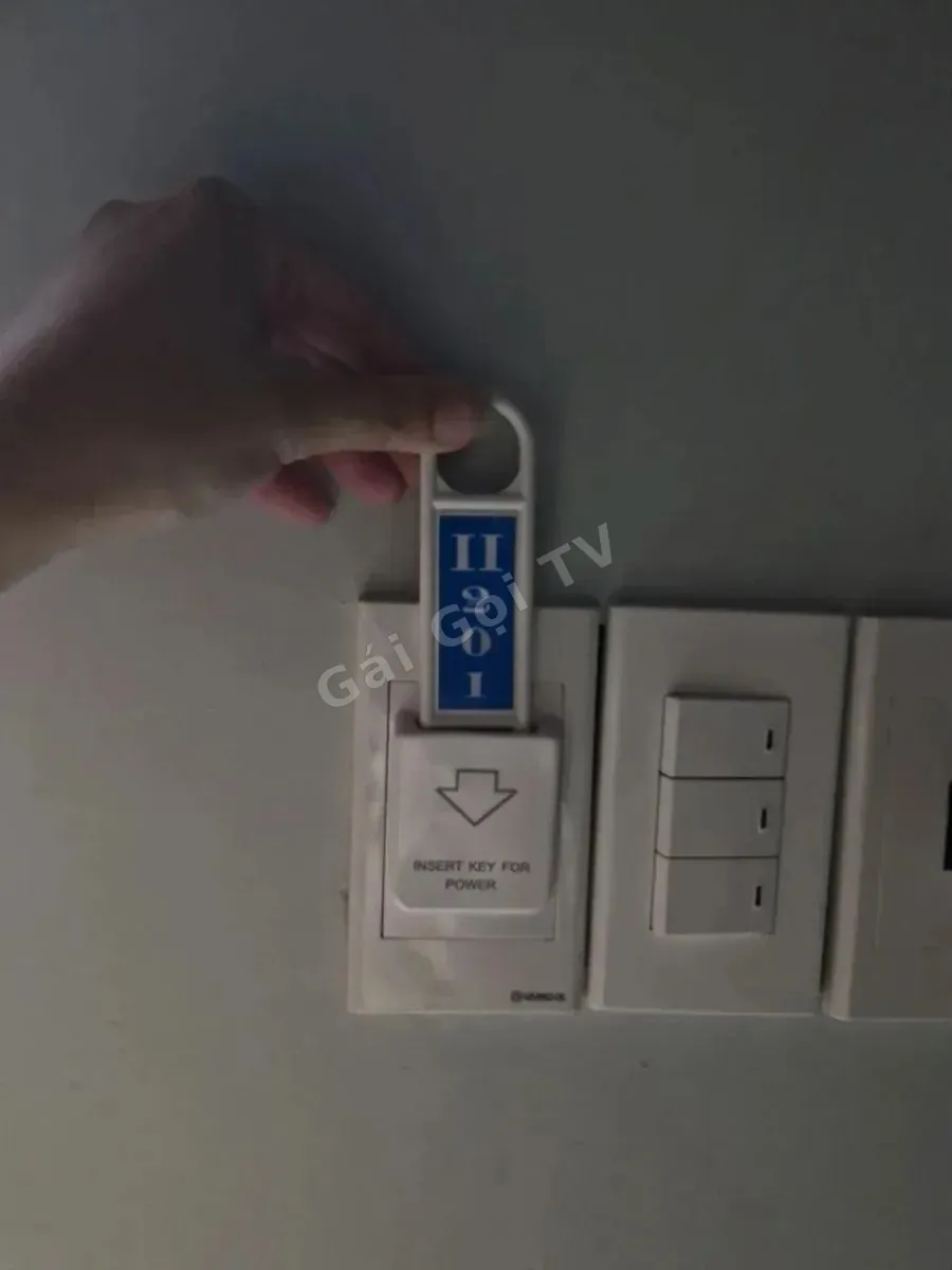 Ảnh 2